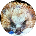 james gray profile picture